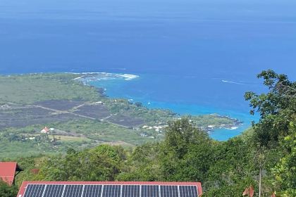 Sacred Grounds Coffee Farm