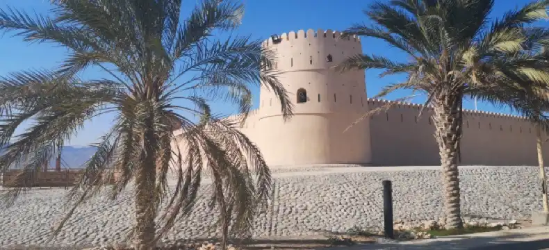 فنادق في صور
