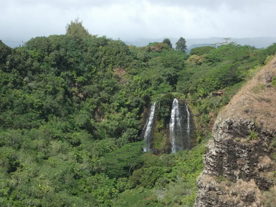 Hotel in zona Waipuhia Falls