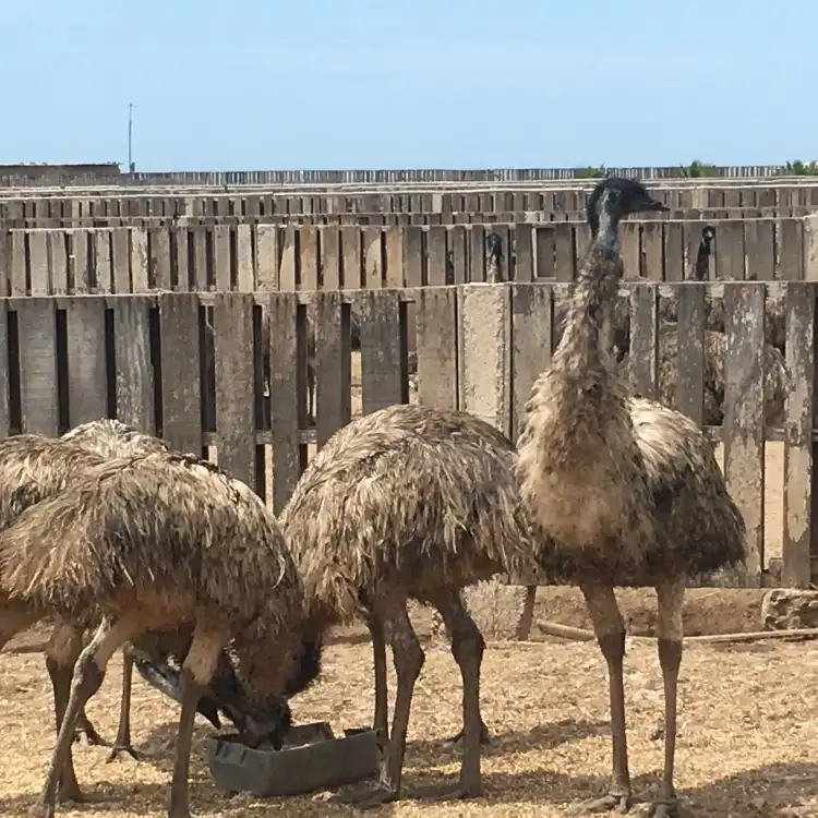 Hotels near Aves Gigantes de Peru