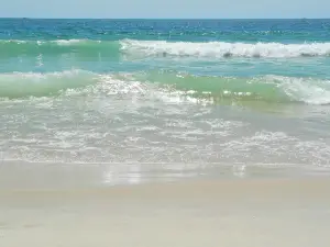 Cupsogue Beach County Park