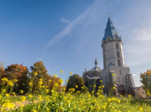 Alexander's Cathedral