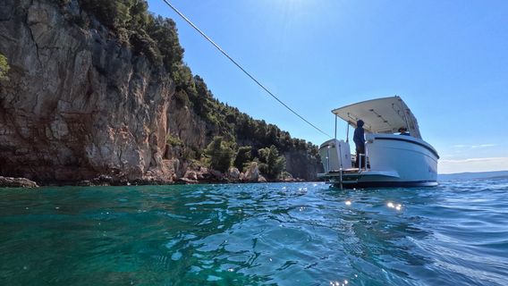 Big Blue Diving