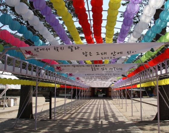 報恩郡 自由行套票