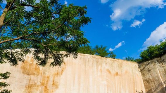 Bolyki Pincészet and Vineyards
