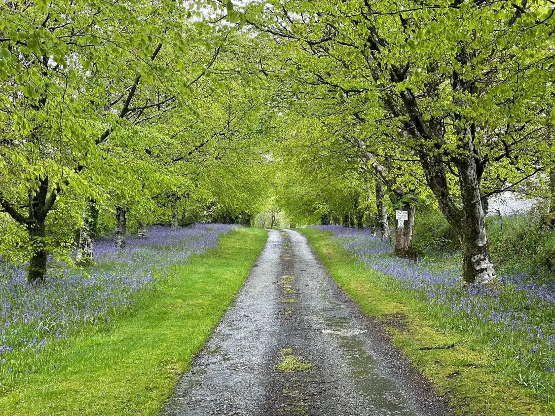 Hotels near The Arthurian Centre