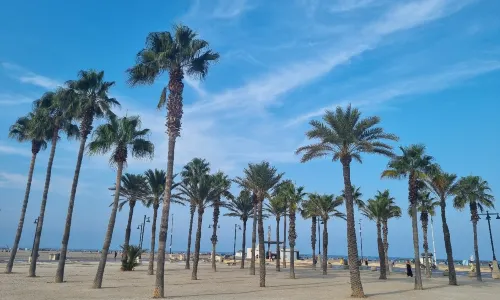 Malvarrosa Beach