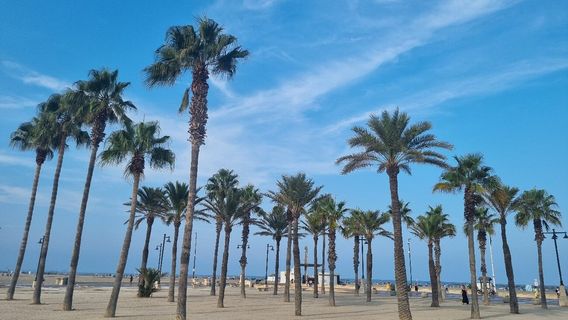 Plage de la Malva-Rosa