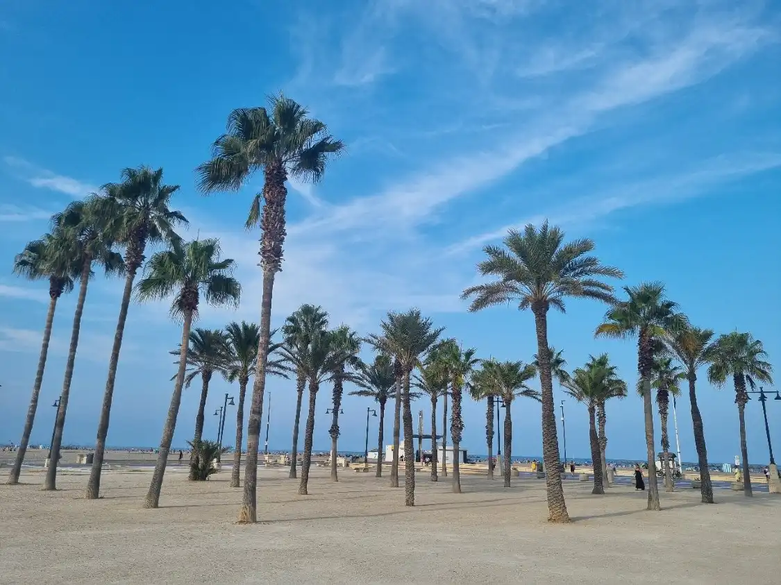 Hotels near Malvarrosa Beach