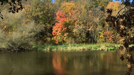 Cedar Side Walking Trail
