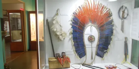 Museum of Indigenous Amazonian Cultures