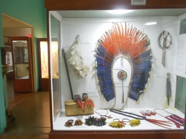 Museum of Indigenous Amazonian Cultures