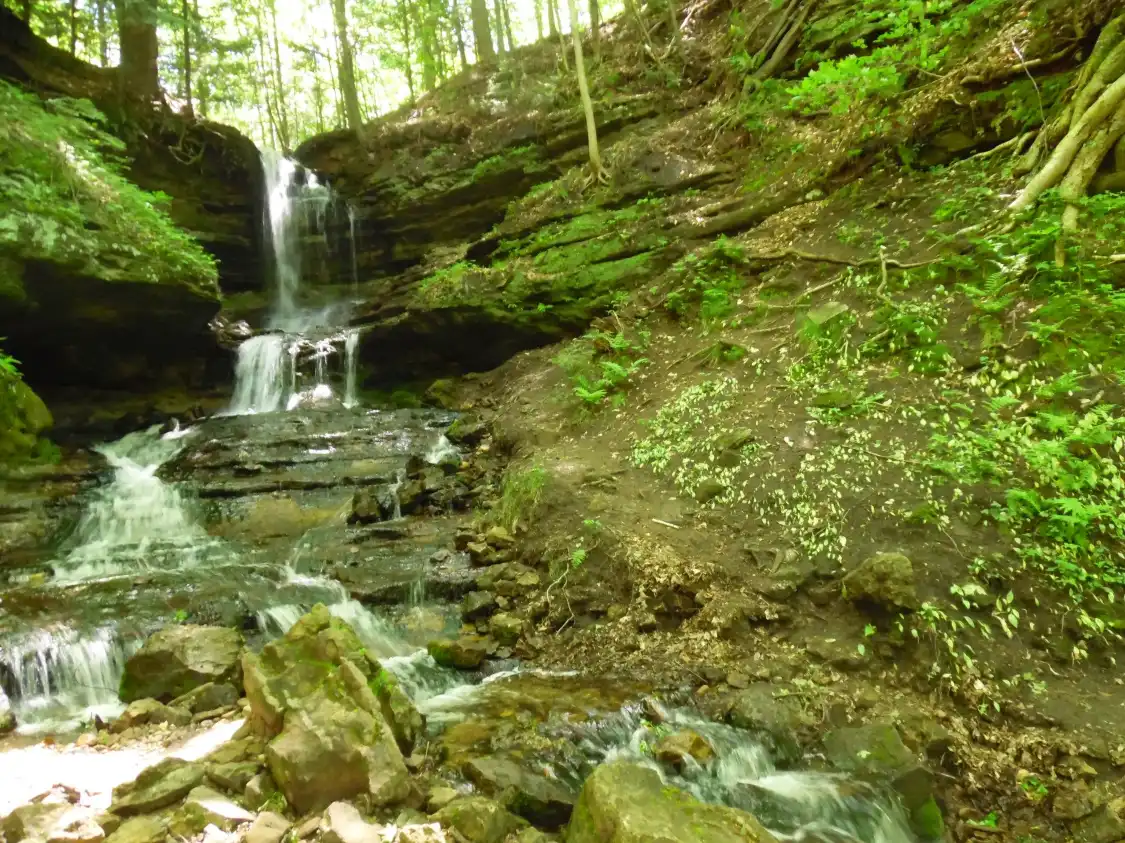 Hotels near Horseshoe Falls