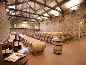 Bodegas y Vinedos Gomez Cruzado