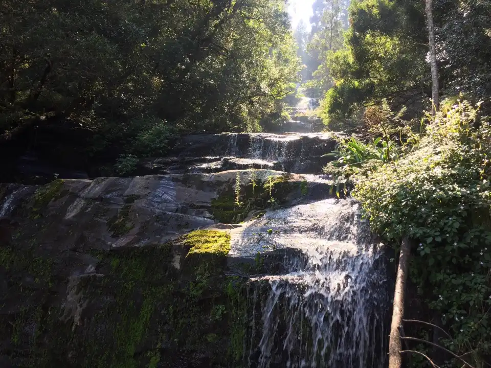 2_Arboretum Hogsback