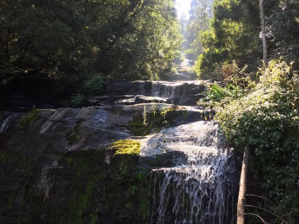 2_Arboretum Hogsback