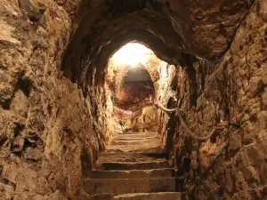 Bodegas Lecea