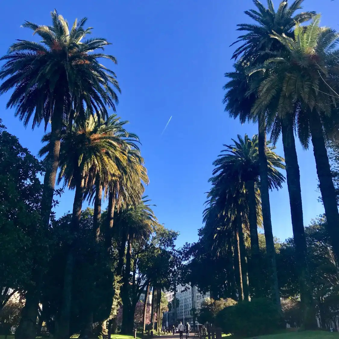 Hotels near Parque de las Palmeras