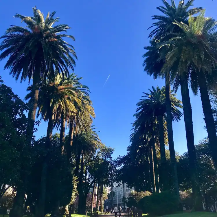Hotels near Parque de las Palmeras