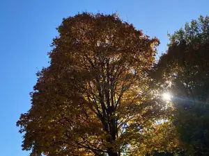 Timaru Botanic Gardens