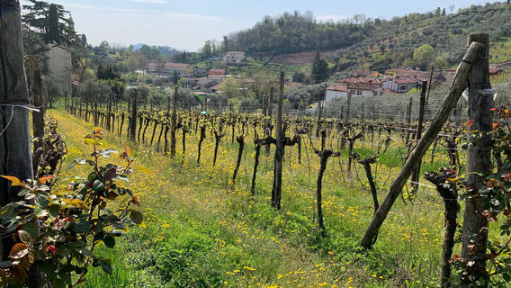 Galzignano Terme