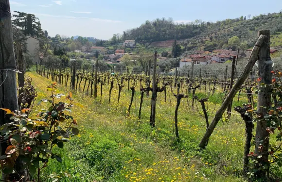 加爾齊尼亞諾-泰爾梅