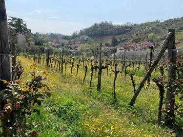 ガルツィニャーノ・テルメ