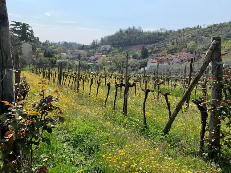 Galzignano Terme