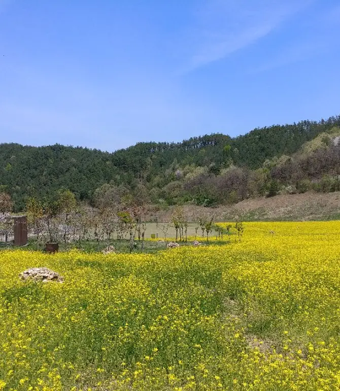 Muju-gun