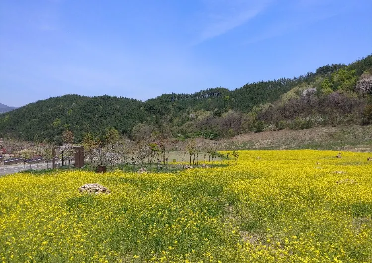 무주군 날씨, 무주군 기온 가이드, 여행하기 가장 좋은 계절, 기온별 옷차림