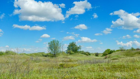 Cranberry Flats Conservation Area