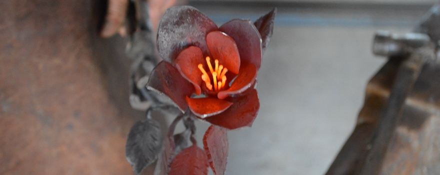 Kowhai Forge Ltd.