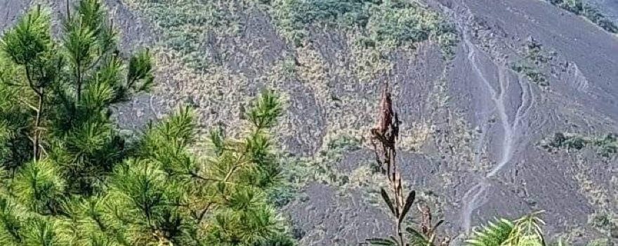 Minahasa Selatan