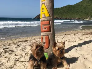 Playa de Cuyagua