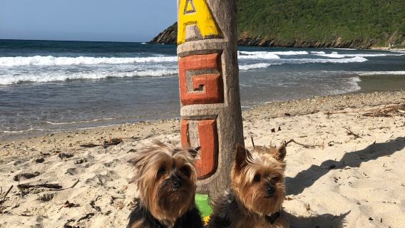 Playa Cuyagua