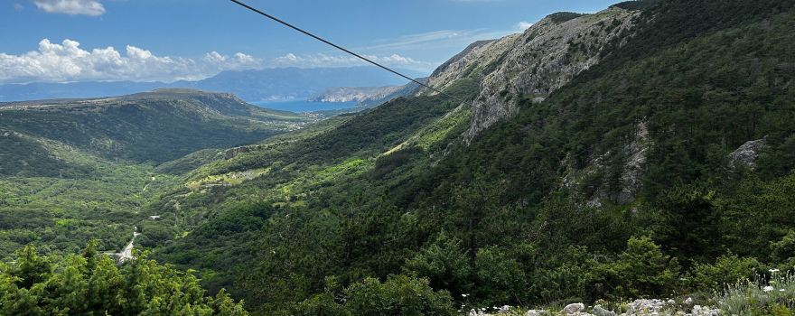 Zipline Edison