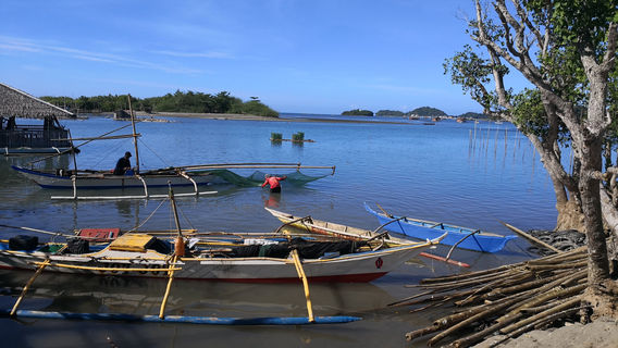 Palina Greenbelt Ecopark