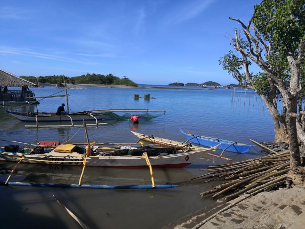 Palina Greenbelt Ecopark