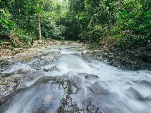 Teck Guan Cocoa Village