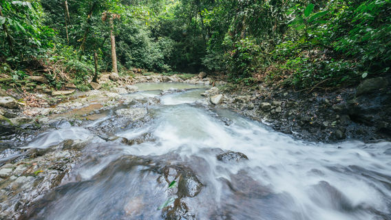 Teck Guan Cocoa Village