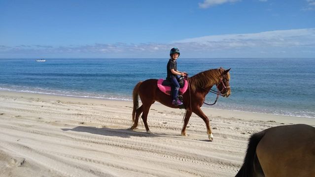 Baja's Awesome Beach Rides
