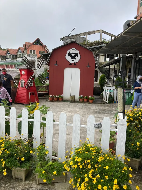 3_THE SHEEP SANCTUARY