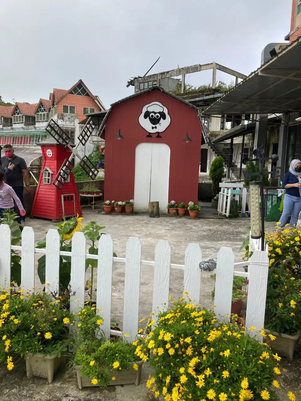 2_The Sheep Sanctuary