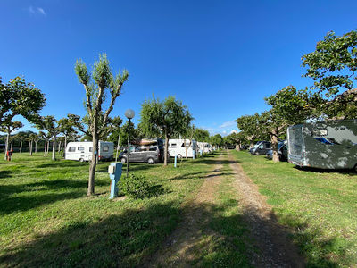 Blu International Camping