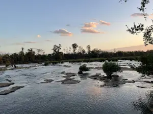Tat Tai Rapid