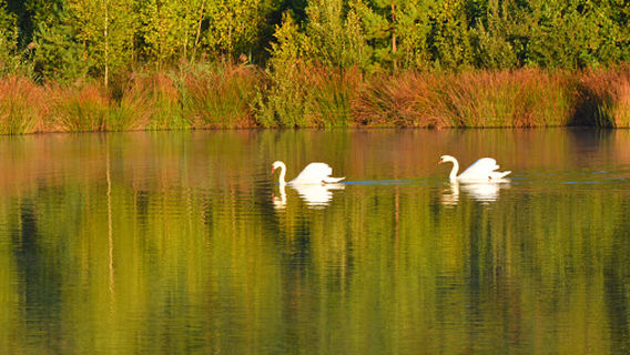 Vallei van de Kikbeekbron