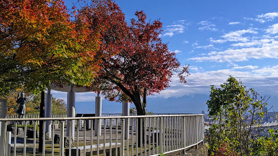 Toyama
