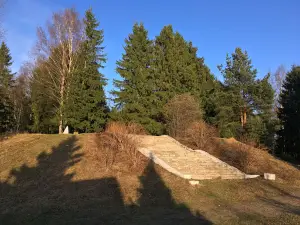Park Svirskoy Pobedy