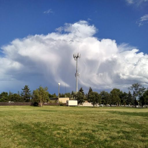 Davidson Park