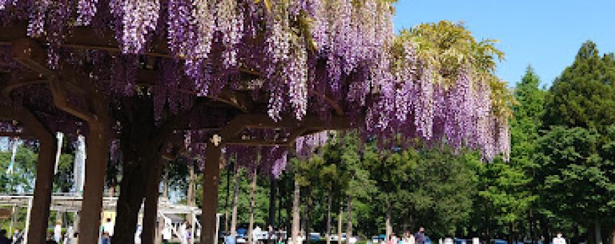 Saitama Prefectural Agricultural & Forestry Park